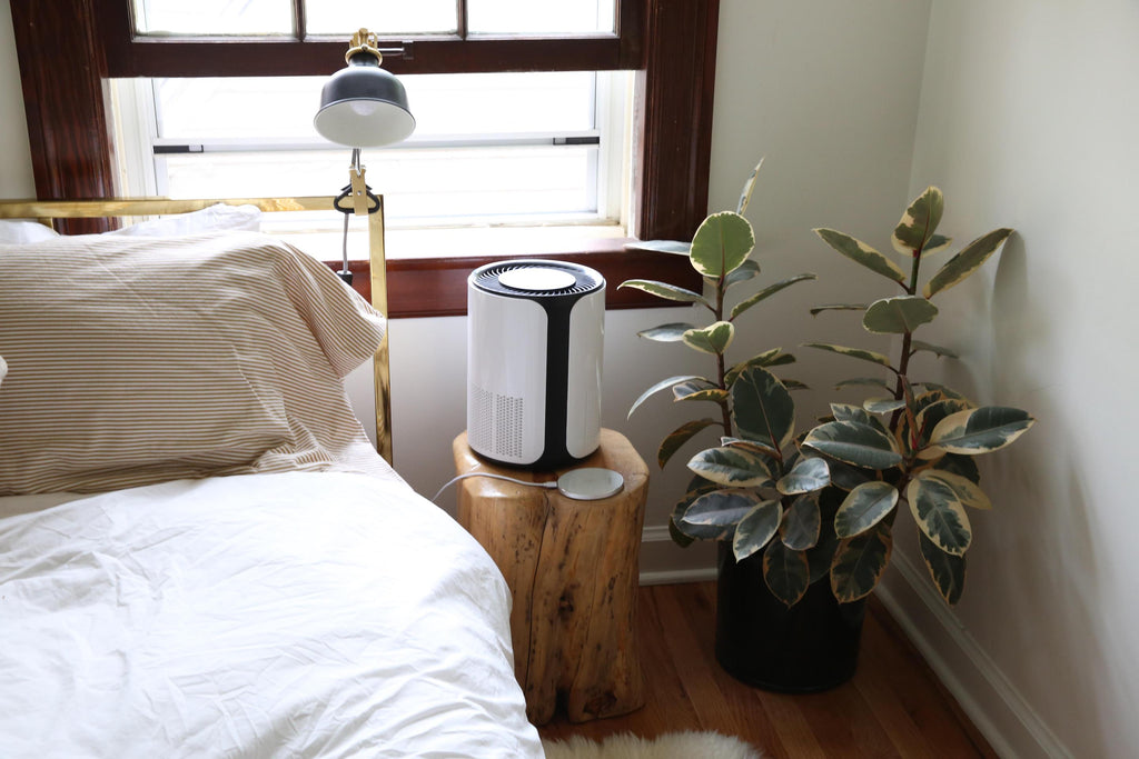 Does My Older Home or Apartment Need an Air Purifier?